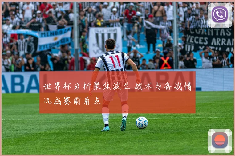 世界杯分析聚焦波兰 战术与备战情况成赛前看点
